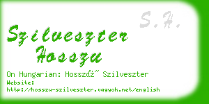 szilveszter hosszu business card